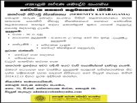 Job Advertisement - Serenity Kataragama